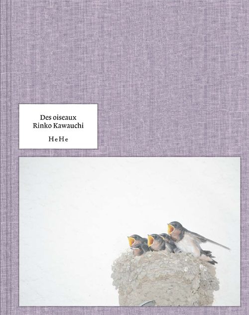 Rinko Kawauchi Des Oiseaux On Birds Japanese Only