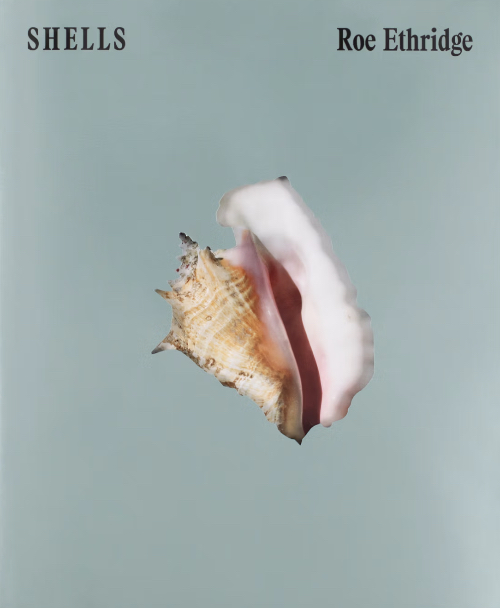 Roe Ethridge – Shells