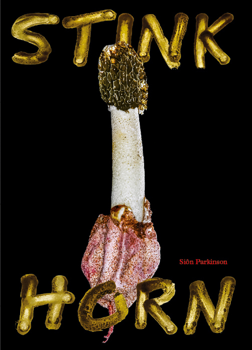 Stinkhorn - How Nature’s Most Foul Smelling Mushroom Can Change the Way We Listen