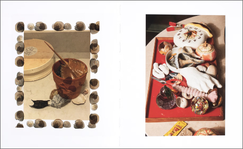 Roe Ethridge – Shells