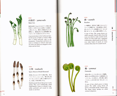 An Illustrated Guide To Japanese Cooking And Annual Events