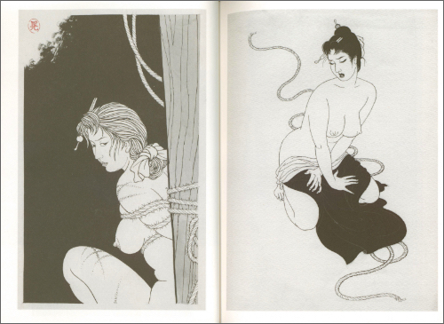 Kinbaku - The Golden Age of Japanese Restrained & Tortured Artworks by Various Artists