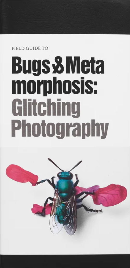 Field Guide to Bugs & Metamorphosis: Glitching Photography