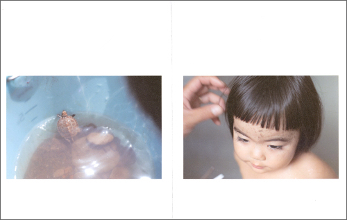 Rinko Kawauchi – as it is