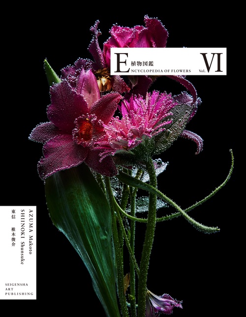 Encyclopedia of Flowers VI