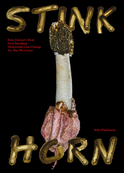 Stinkhorn - How Nature’s Most Foul Smelling Mushroom Can Change the Way We Listen